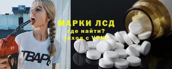 шишки Пересвет