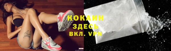 шишки Пересвет