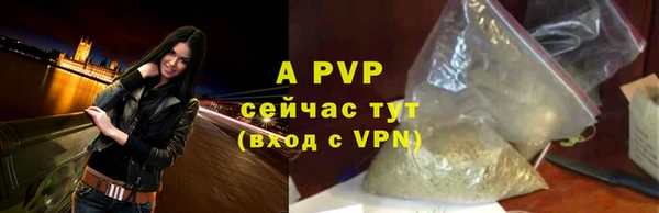 шишки Пересвет