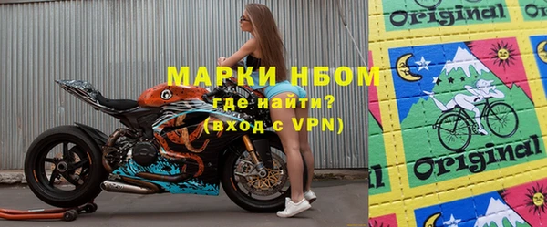 прущие грибы Баксан