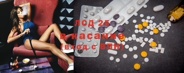 шишки Пересвет