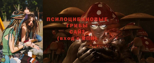 прущие грибы Баксан
