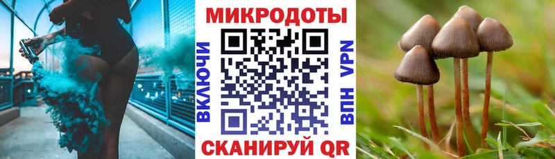 Галлюциногенные грибы ЛСД  Белокуриха 